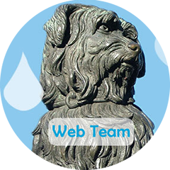 College Web Team